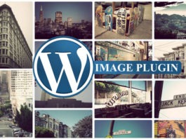 best wordpress theme image