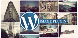 best wordpress theme image