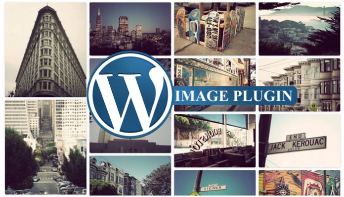 best wordpress theme image