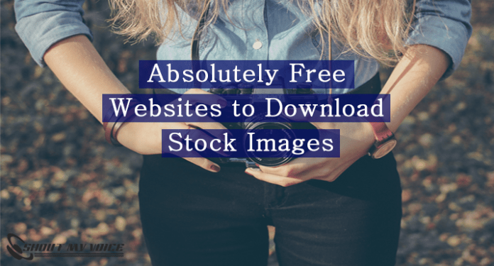 Download stock images