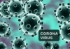 Corona Virus