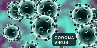 Corona Virus