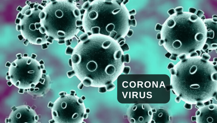 Corona Virus